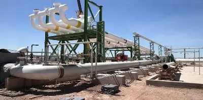 TGN presenta el proyecto del nuevo Gasoducto Tratayén–La Carlota