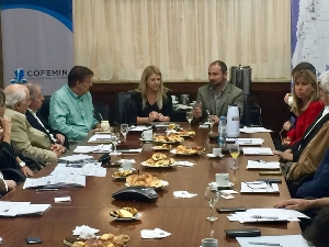 Mesa de Competitividad Minera