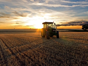 Se prorrog� el R�gimen del Bono Fiscal para Fabricantes de Bienes de Capital 