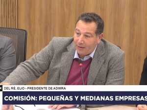 Intervenci�n en la Comisi�n PyME de la c�mara de diputados 